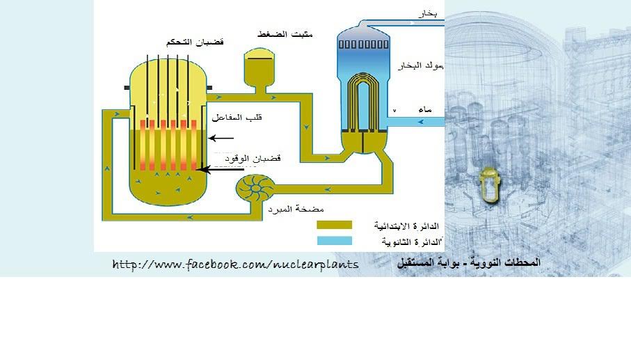 الطاقة النووية بوابة مصر نحو المستقبل 4