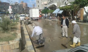 حملة مكبرة للنظافة بمدينة عزبة البرج 2