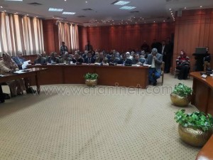 المجلس التنفيذى يتخذ قرارات لتنمية المجتمع البورسعيدى 2