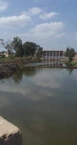مهندسي الري يتفقدون حالة منسوب المياه بمصرف ادكو بالبحيرة2