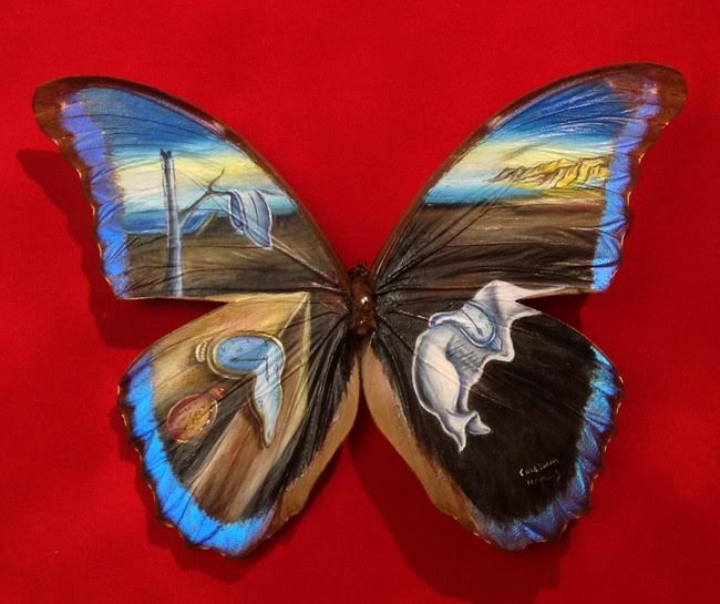 فنان يرسم علي أجنحة الفراشات  4